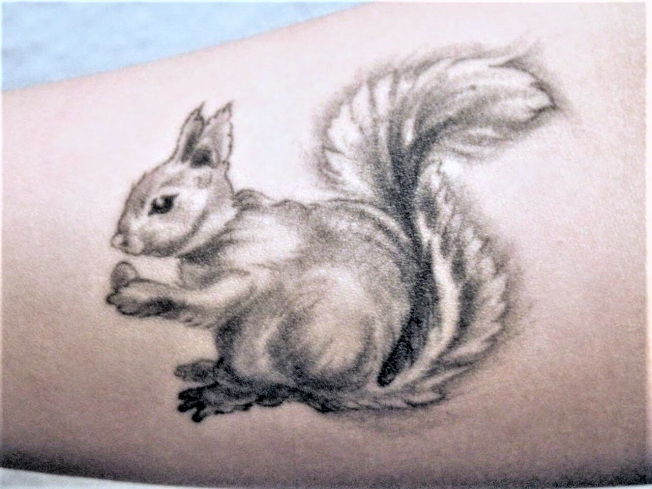 Eichhörnchen, Tattoo, Tier, black and grey.