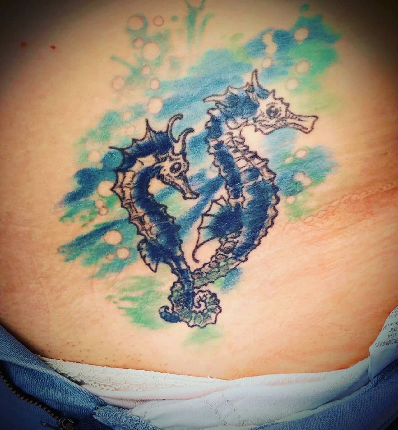 Seepferdchen, Seahorse, Watercolor Style, Spiralcloudtattoo.