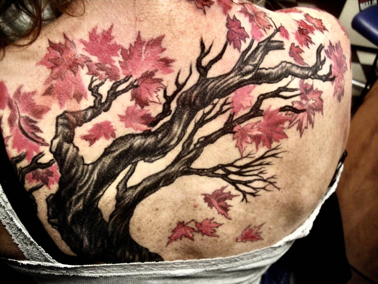 tattoo foto, Bild einer Tätowierung, tattoo picture, von spiralcloudtattoo studio freiburg, Baum, Baumtattoo, treetattoo, backpiece, maple,.