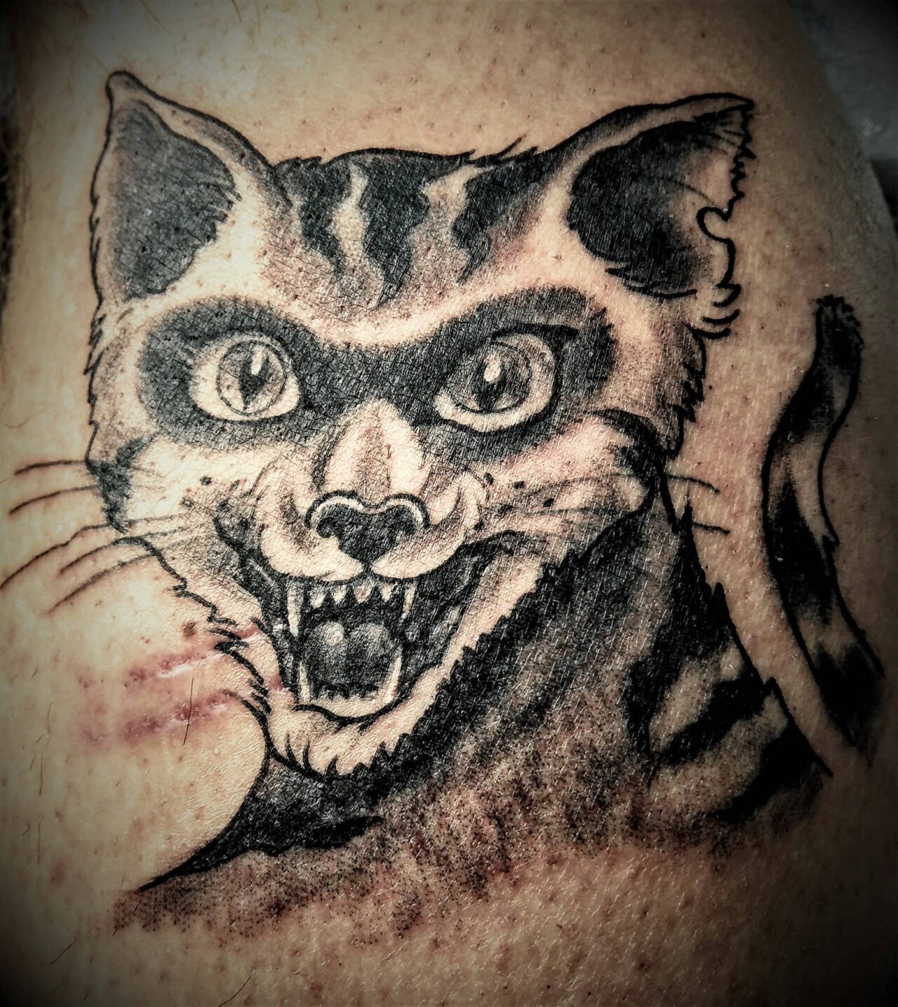 tattoo foto, Bild einer Tätowierung, tattoo picture, von spiralcloudtattoo studio freiburg, Katze, Katzentattoo, cat, comic, cattattoo.