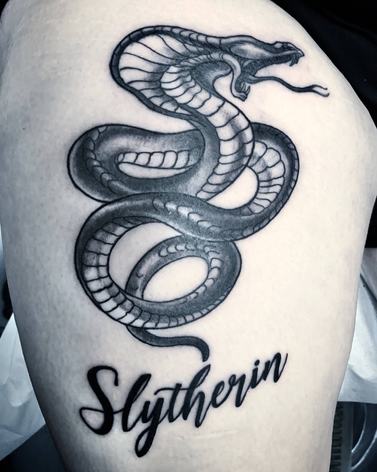 tattoo foto, Bild einer Tätowierung, tattoo picture, von spiralcloudtattoo studio freiburg, ink, art, color, snake, Schlange, black, grey, Sytherine, cobra.