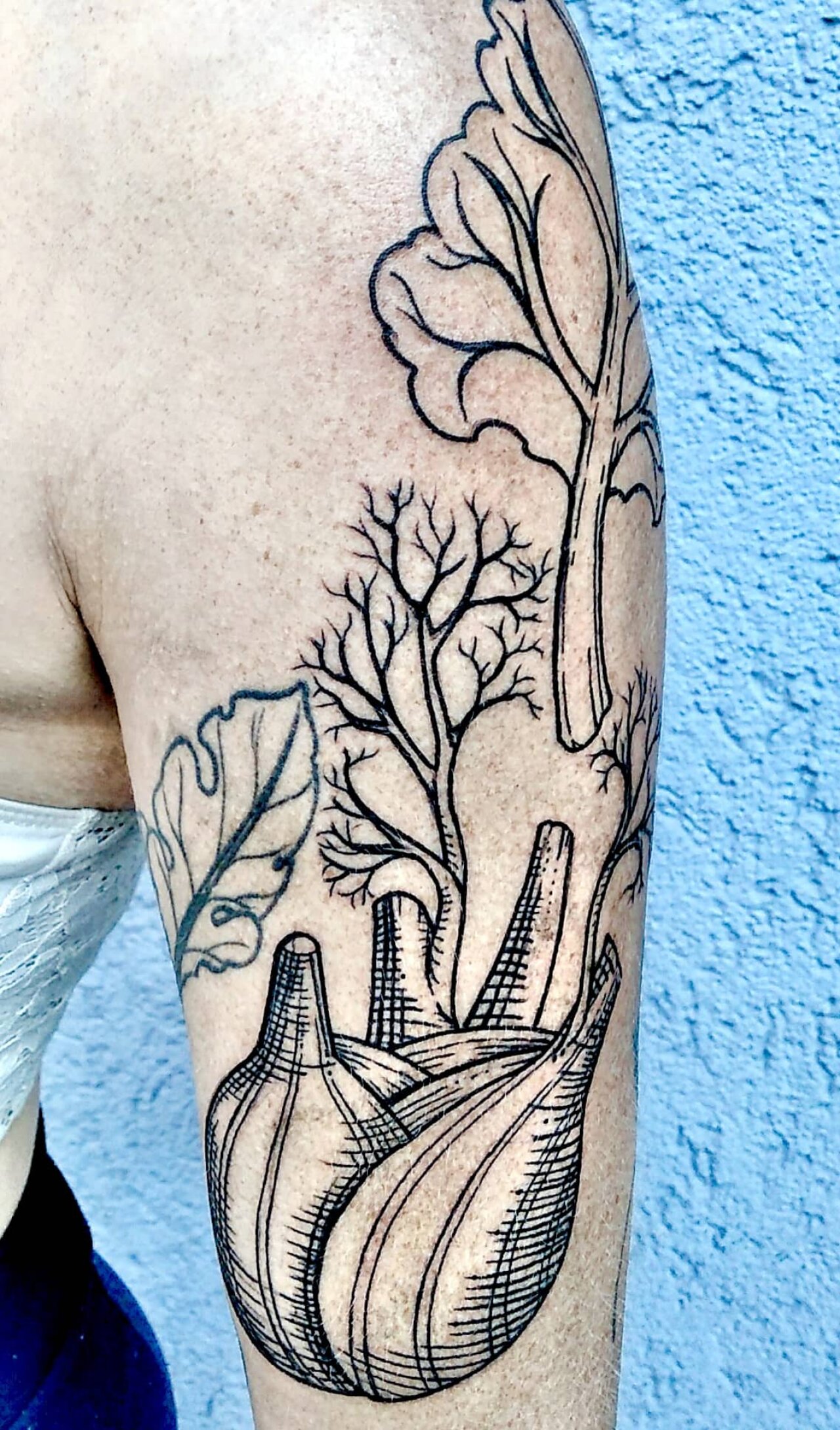 tattoo foto, Bild einer Tätowierung, tattoo picture, von spiralcloudtattoo studio freiburg, ink, art, color, black, blackwork, lineart, engraving, vegan, vegetable, leafes, Fenchel.