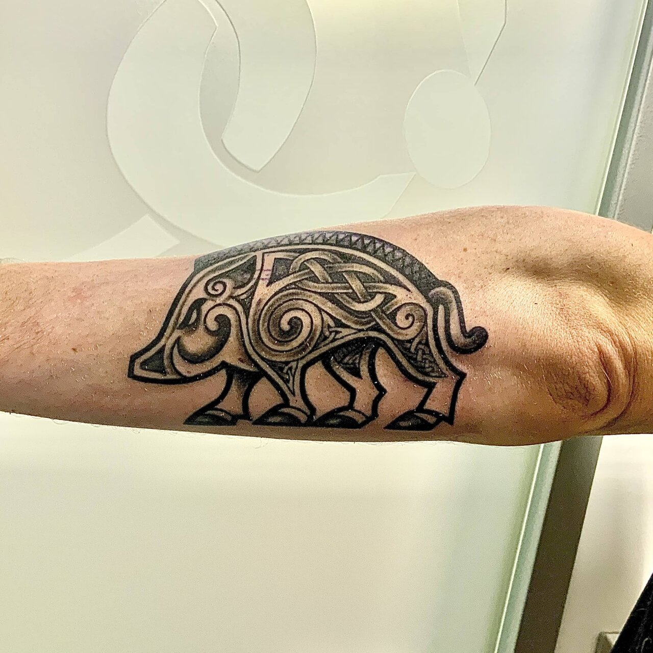 tattoo foto, Bild einer Tätowierung, tattoo picture, von spiralcloudtattoo studio freiburg, ink, art, color, black, grey, celtic, pig, bold, lines.